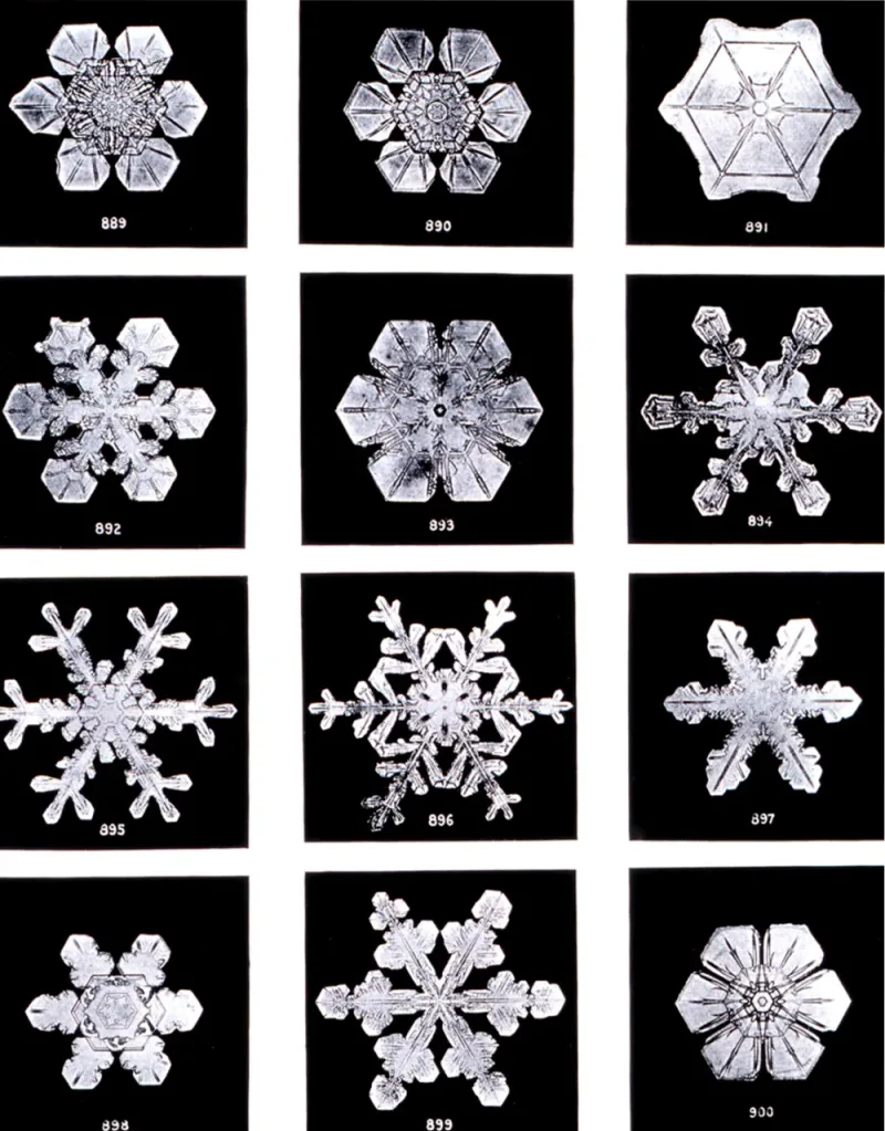 A 1902 plate of snow crystals photographed by Wilson Bentley