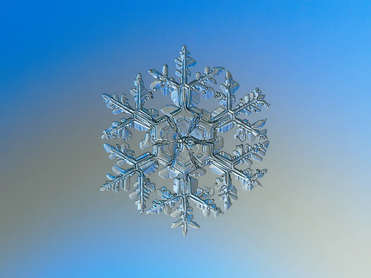 A macro photograph of a snow crystal